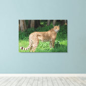 チータ キャンバスプリント (インサイチュ (ウッドフロア))