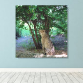 チータ キャンバスプリント (インサイチュ (ウッドフロア))