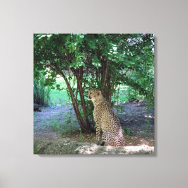 チータ キャンバスプリント