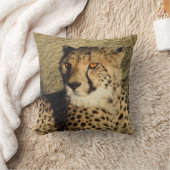 チータ クッション (ブランケット)