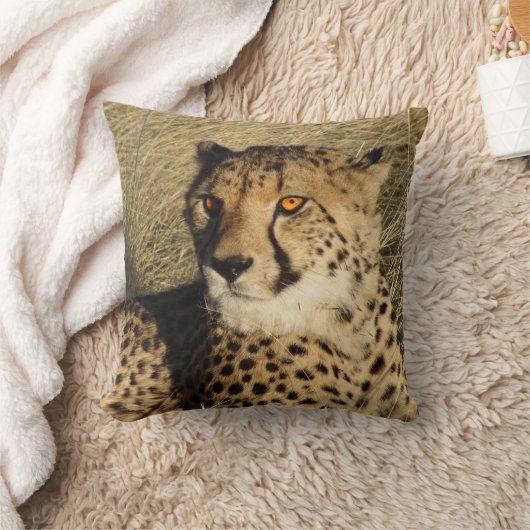 チータ クッション (ブランケット)