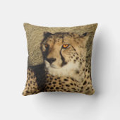 チータ クッション (裏面)