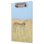 チータ クリップボード (左)