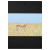 チータ クリップボード (裏面)