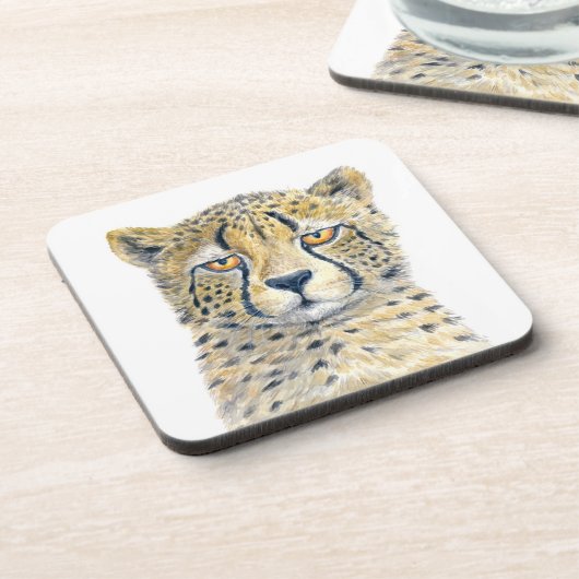 チータ コースター (左側)