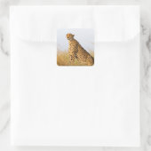 チータ スクエアシール (バッグ)