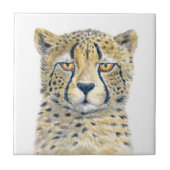 チータ タイル (正面)