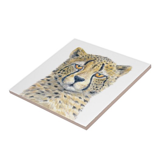 チータ タイル (側面)