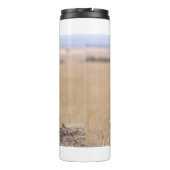 チータ タンブラー (裏面)