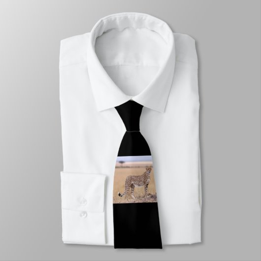 チータ ネクタイ (タイ)