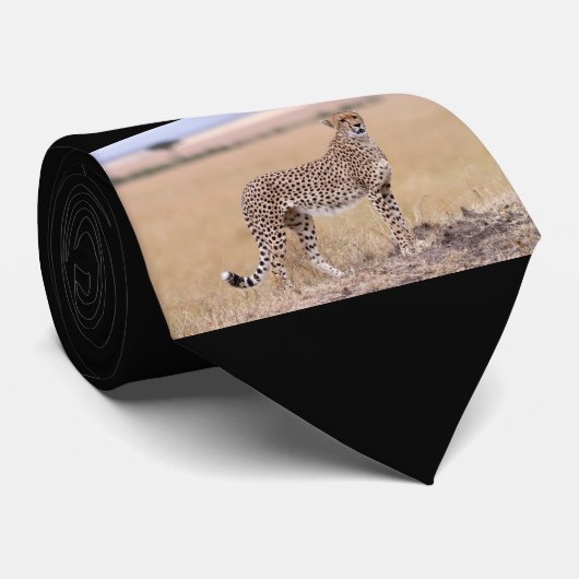 チータ ネクタイ (ロール)