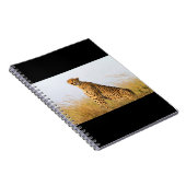 チータ ノートブック (右側)