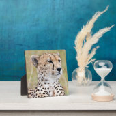 チータ フォトプラーク (インサイチュ)