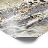 チータ フォトプリント            (角)