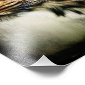 チータ フォトプリント            (角)