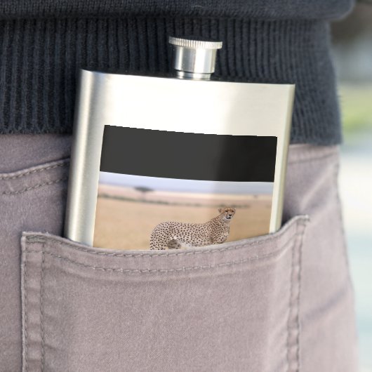 チータ フラスク (インサイチュ)