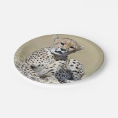 チータ ペーパープレート (アングル)