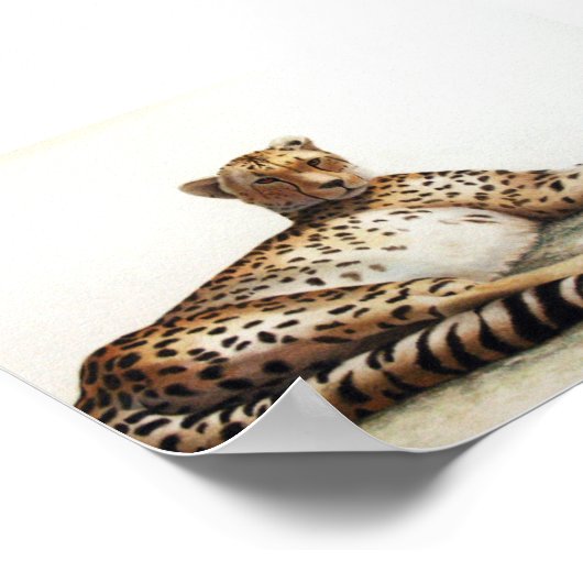 チータ ポスター (角)