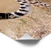 チータ ポスター (コーナー)