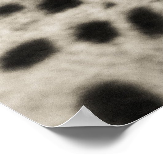 チータ ポスター (角)