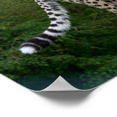 チータ ポスター (角)