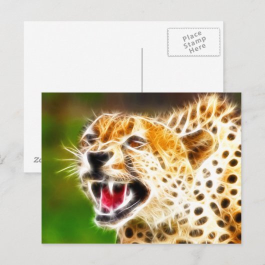 チータ ポストカード (正面/裏面)