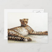 チータ ポストカード (正面/裏面)