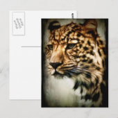 チータ ポストカード (正面/裏面)