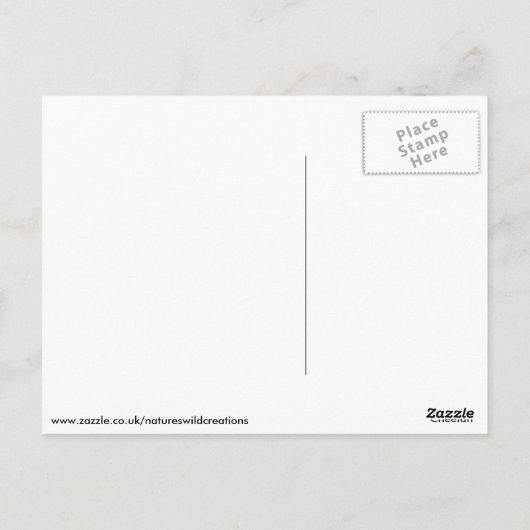 チータ ポストカード (裏面)