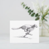 チータ ポストカード (スタンド正面)