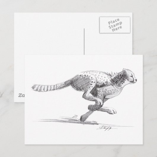 チータ ポストカード (正面/裏面)