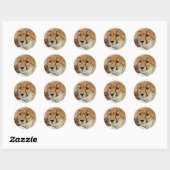 チータ ラウンドシール (シート)