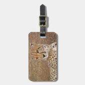 チータ ラゲッジタグ (正面縦)