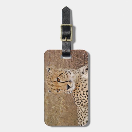 チータ ラゲッジタグ (正面縦)