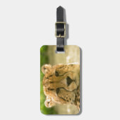 チータ ラゲッジタグ (正面縦)