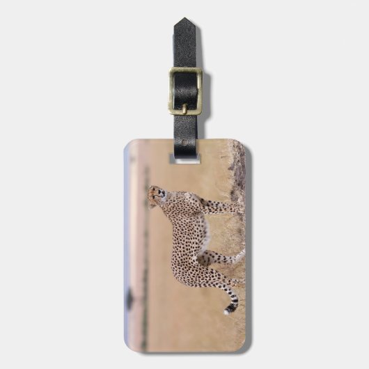 チータ ラゲッジタグ (正面縦)