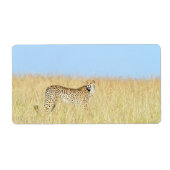 チータ ラベル (正面)