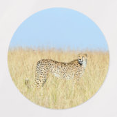 チータ ラベル (デザイン1)