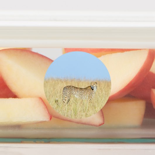 チータ ラベル (貼付)