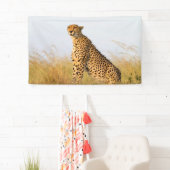 チータ 横断幕 (インサイチュ)