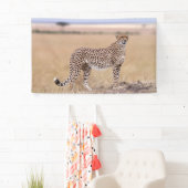 チータ 横断幕 (インサイチュ)