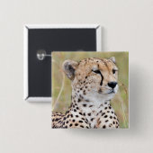 チータ 缶バッジ (正面&裏面)