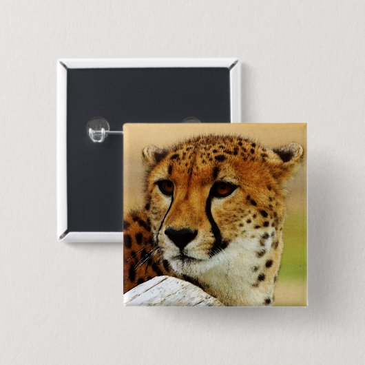 チータ 缶バッジ (正面&裏面)