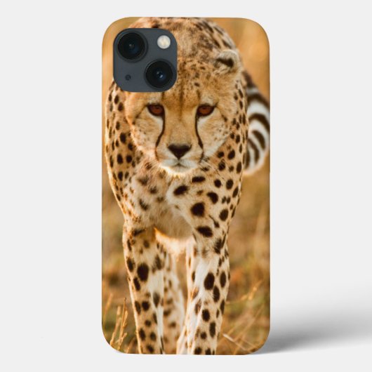 チータ(Acinonyx Jubatus)のポートレート、Maasai Case-Mate iPhoneケース (裏面)