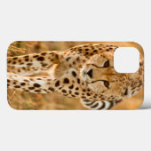 チータ(Acinonyx Jubatus)のポートレート、Maasai Case-Mate iPhoneケース (裏面 (横))