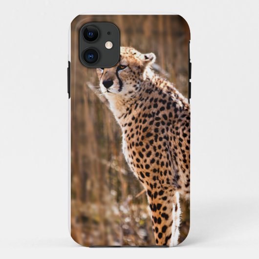 チータ Case-Mate iPhoneケース (裏面)