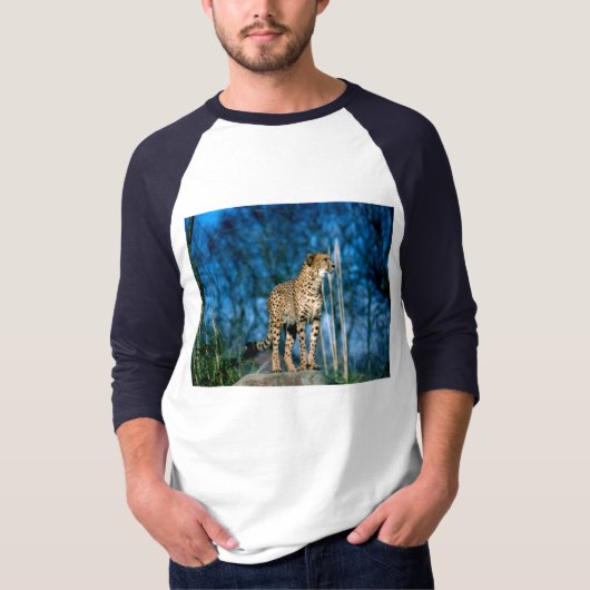 チータ Tシャツ (正面)