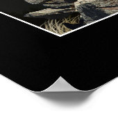 チーフテンビッグホーン羊の野生生物写真ポスター ポスター (角)