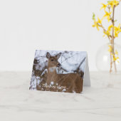 チーフ考えるィー・オブ・ユー・カード カード (黄色い花)