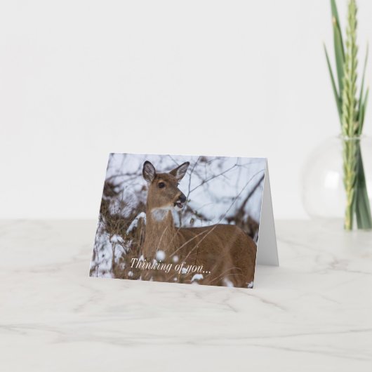 チーフ考えるィー・オブ・ユー・カード カード (正面)